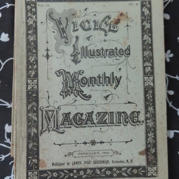 Vick's Illustrated Monthly Magazine  Lot x 33 1800s - Picture 11 of 12